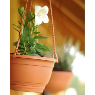 AGRO vaz. pakabin. 16 terakota sp.